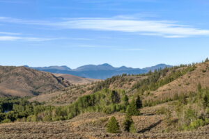 Wescott Ranch, Grand County, CO (photo 5 of 74)