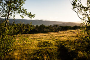 JB Gardner Ranch, Park County, Colorado, for sale
