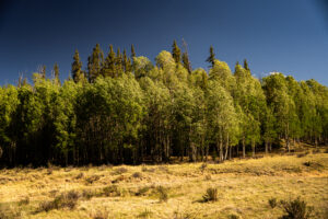 JB Gardner Ranch, Park County, Colorado, for sale