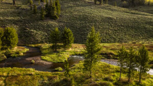 Vagabond Ranch, Grand County, Colorado, for sale