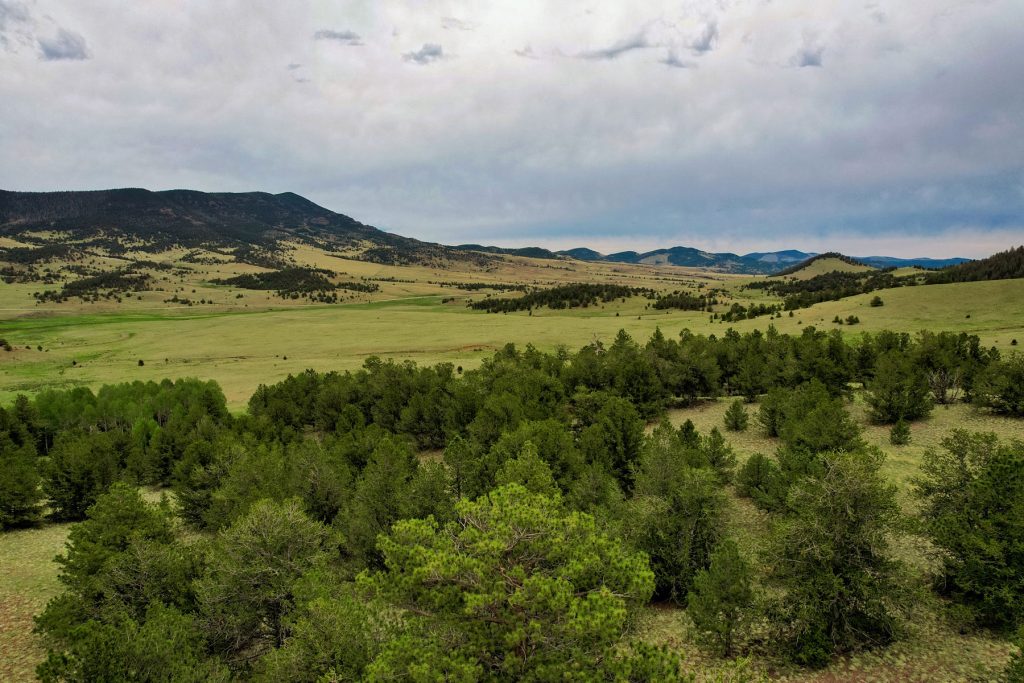 Currant Creek 255