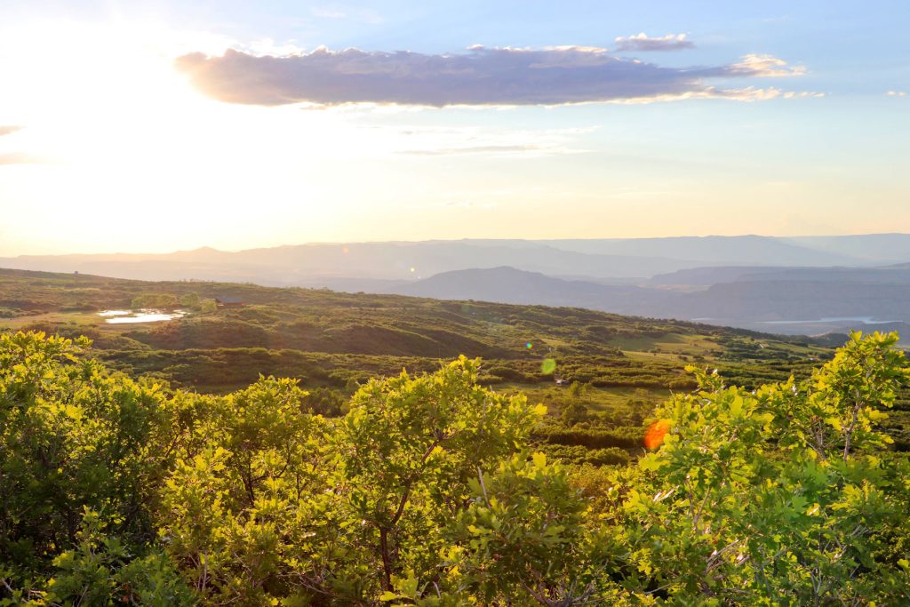 Grand Mesa Hunting Camp