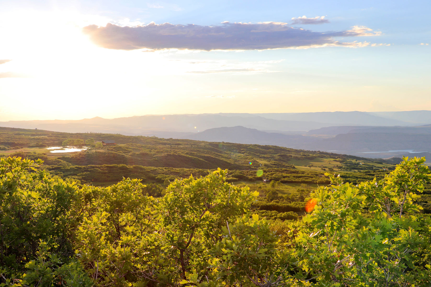 Grand Mesa Hunting Camp — Glenwood Springs, Colorado