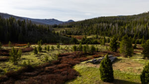 Vagabond Ranch, Grand County, Colorado, for sale