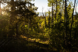 JB Gardner Ranch, Park County, Colorado, for sale