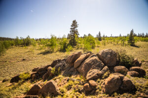 JB Gardner Ranch, Park County, Colorado, for sale