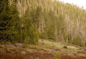 Vagabond Ranch, Grand County, Colorado, for sale