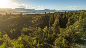 JB Gardner Ranch, Park County, Colorado, for sale