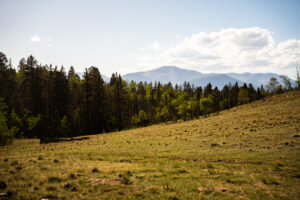 JB Gardner Ranch, Park County, Colorado, for sale