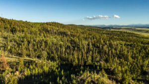 JB Gardner Ranch, Park County, Colorado, for sale