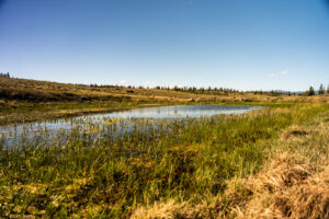 JB Gardner Ranch, Park County, Colorado, for sale
