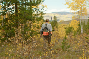 Wescott Ranch, Grand County, CO (photo 50 of 74)