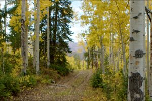 Wescott Ranch, Grand County, Colorado, for sale
