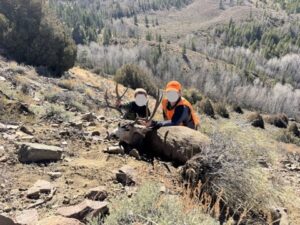 Wescott Ranch, Grand County, CO (photo 64 of 74)