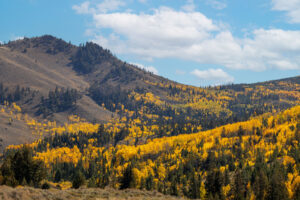 Wescott Ranch, Grand County, CO (photo 67 of 74)