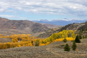 Wescott Ranch, Grand County, Colorado, for sale