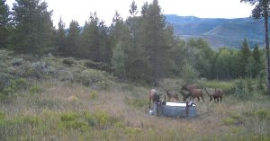 Wescott Ranch, Grand County, Colorado, for sale