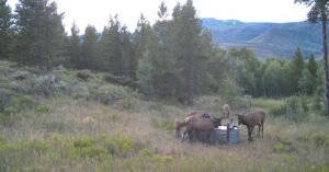 Wescott Ranch, Grand County, CO (photo 68 of 74)