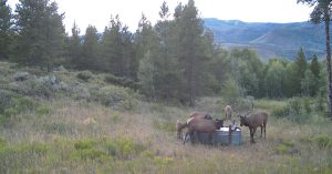 Wescott Ranch, Grand County, Colorado, for sale