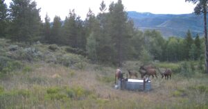 Wescott Ranch, Grand County, CO (photo 69 of 74)