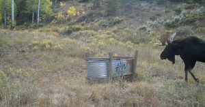 Wescott Ranch, Grand County, Colorado, for sale