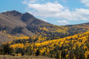 Wescott Ranch, Grand County, Colorado, for sale
