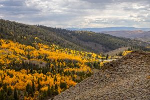 Wescott Ranch, Grand County, Colorado, for sale