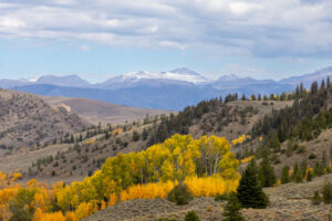 Wescott Ranch, Grand County, CO (photo 74 of 74)
