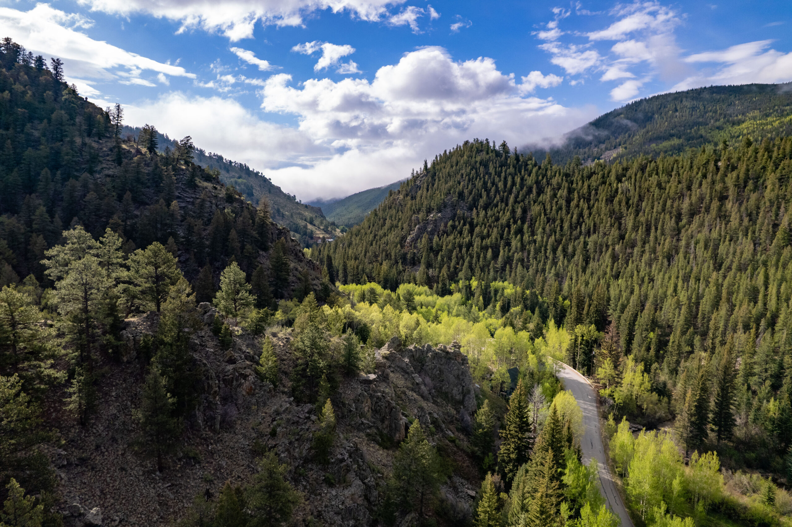 Geneva Creek Retreat — Grant, Colorado