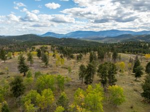 Conley Ranch, Jefferson County, Colorado, for sale