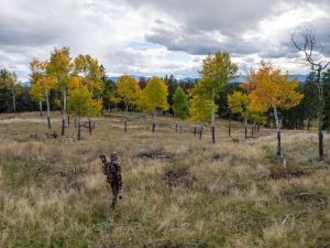 Conley Ranch, Jefferson County, Colorado, for sale