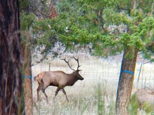 Conley Ranch, Jefferson County, Colorado, for sale