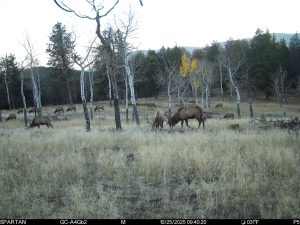 Conley Ranch, Jefferson County, Colorado, for sale