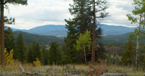 Conley Ranch, Jefferson County, Colorado, for sale