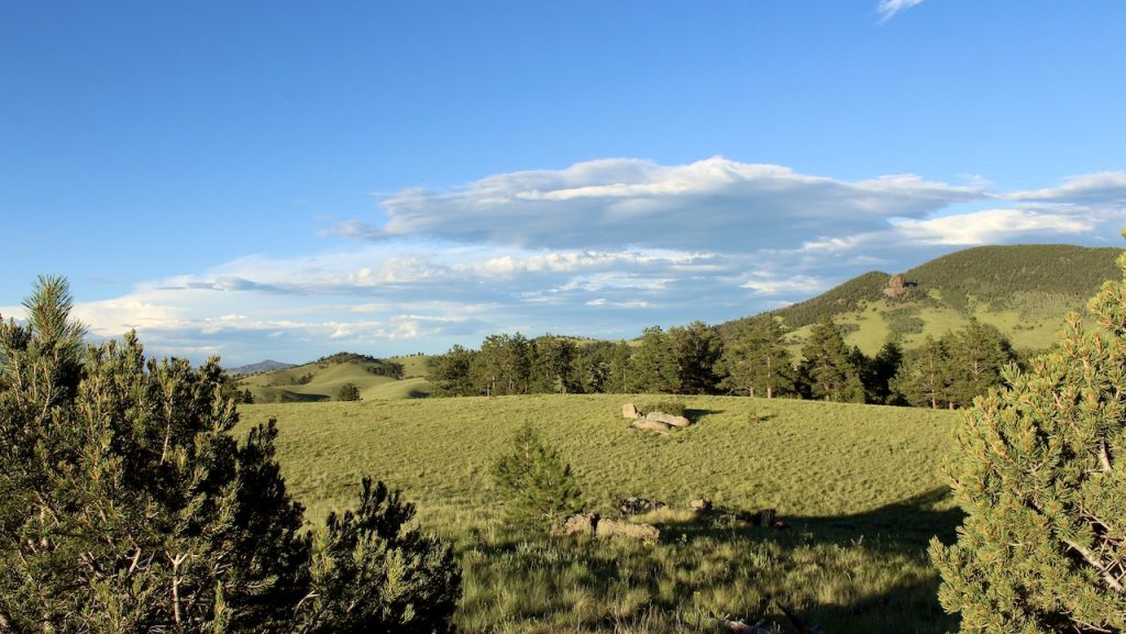 Aspen Meadows 166