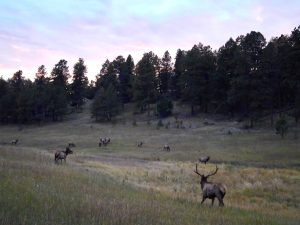 Gooseberry Gulch Ranch, Jefferson County, Colorado, for sale