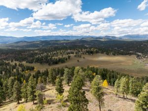 Gooseberry Gulch Ranch, Jefferson County, Colorado, for sale