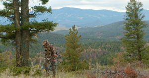Gooseberry Gulch Ranch, Jefferson County, Colorado, for sale