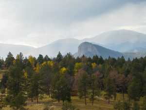 Gooseberry Gulch Ranch, Jefferson County, Colorado, for sale