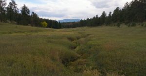 Gooseberry Gulch Ranch, Jefferson County, Colorado, for sale