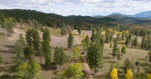 Gooseberry Gulch Ranch, Jefferson County, Colorado, for sale