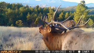 Gooseberry Gulch Ranch, Jefferson County, Colorado, for sale