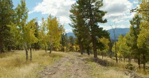Gooseberry Gulch Ranch, Jefferson County, Colorado, for sale