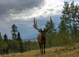 JB Gardner Ranch, Park County, Colorado, for sale