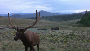 JB Gardner Ranch, Park County, Colorado, for sale