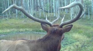 JB Gardner Ranch, Park County, Colorado, for sale