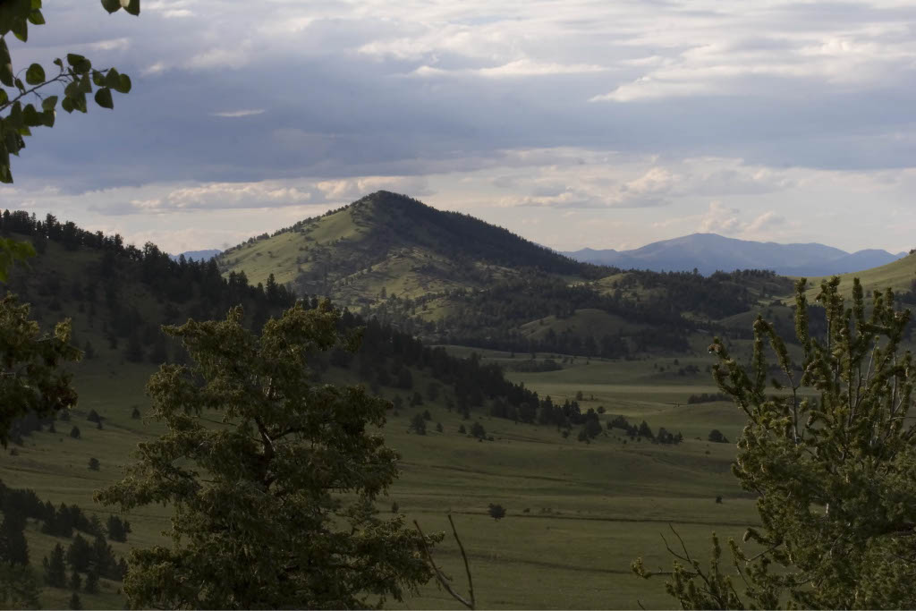 The Forest Springs Inholding Ranch