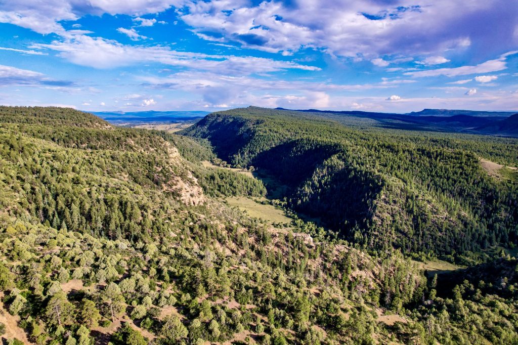 Webb Creek Canyon Ranch