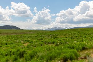 Bar Star Ranch, Park County, Colorado, for sale