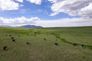 Bar Star Ranch, Park County, Colorado, for sale